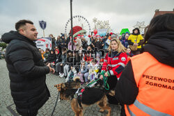 Gdańska Parada Wolontariuszy