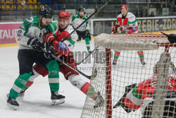 Polska Hokej Liga: JKH GKS Jastrzębie - Zagłębie Sosnowiec